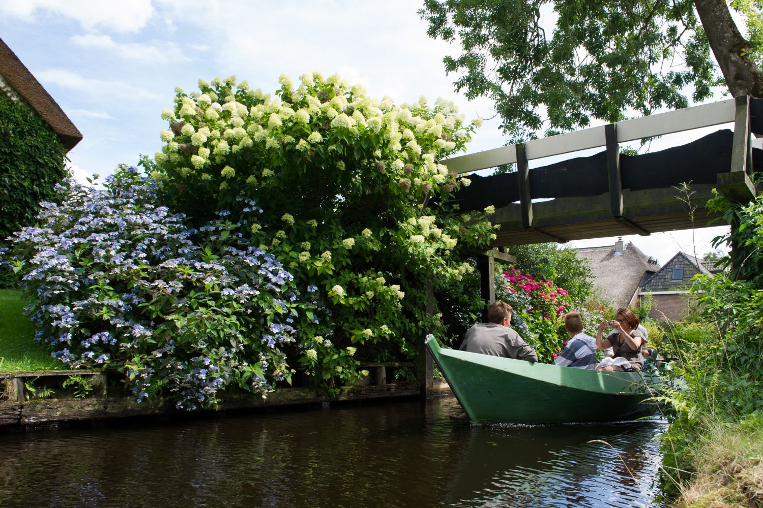 Bekijk de afbeelding in een volledig scherm