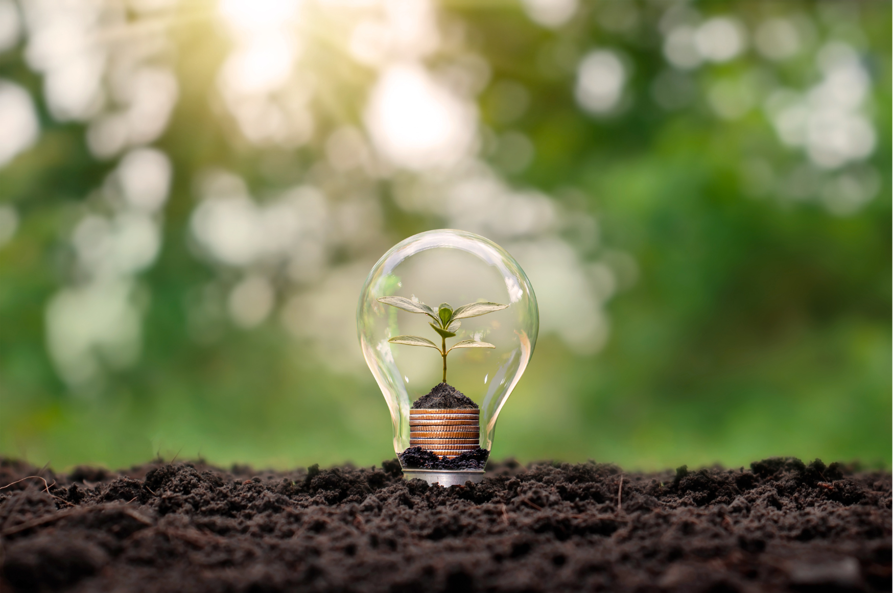 Bekijk de afbeelding in een volledig scherm