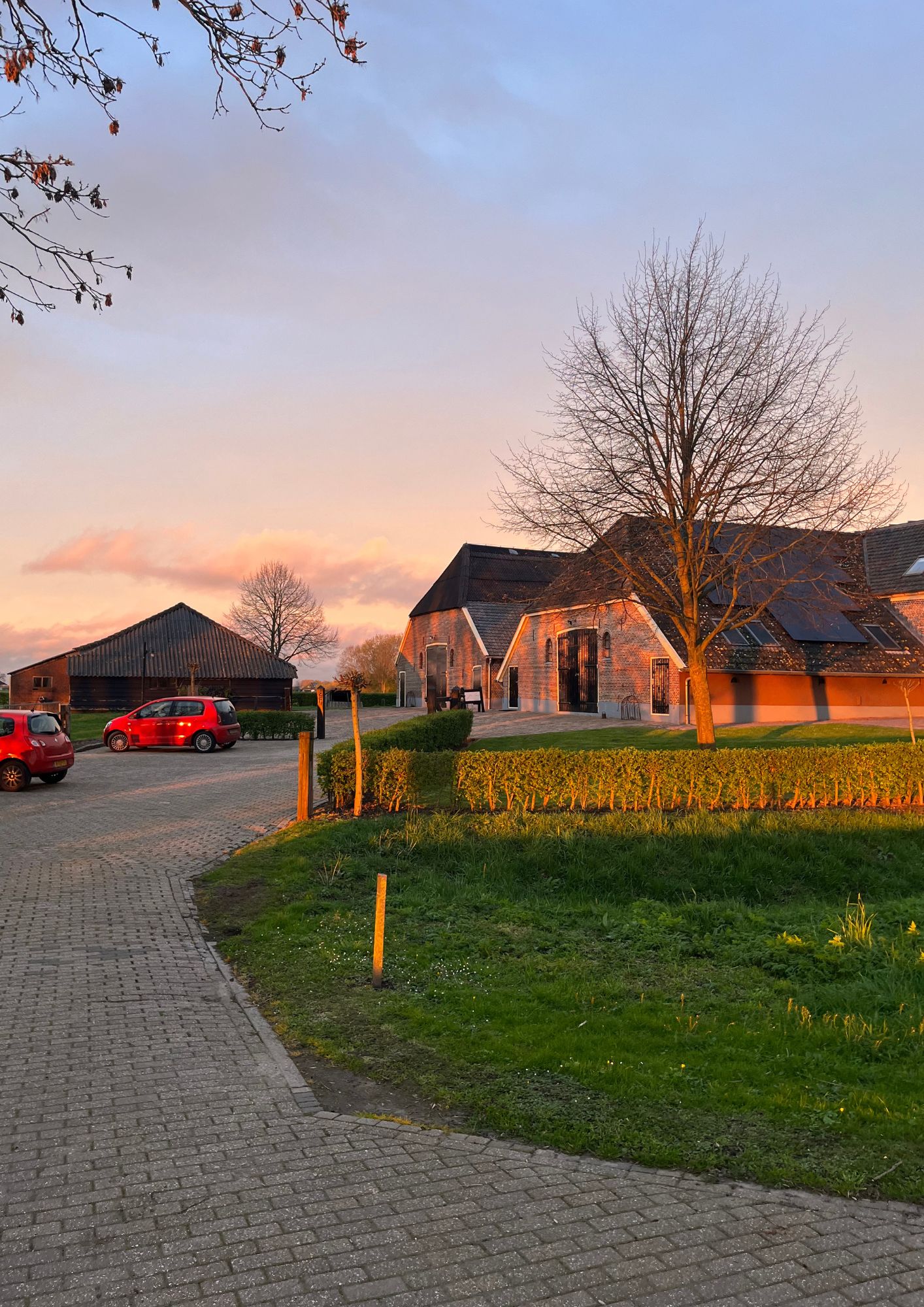 Klik om afbeelding in volledig scherm te bekijken