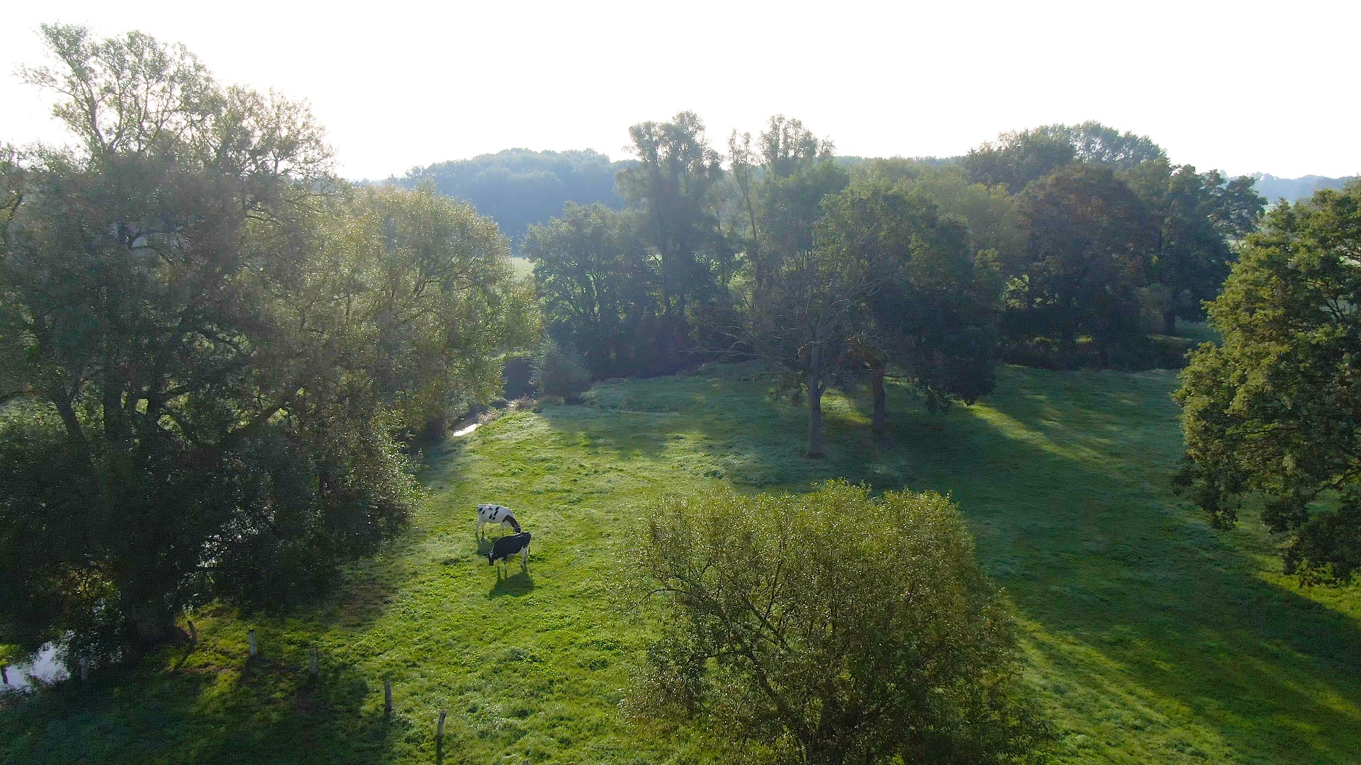 Gemeentelijke banner