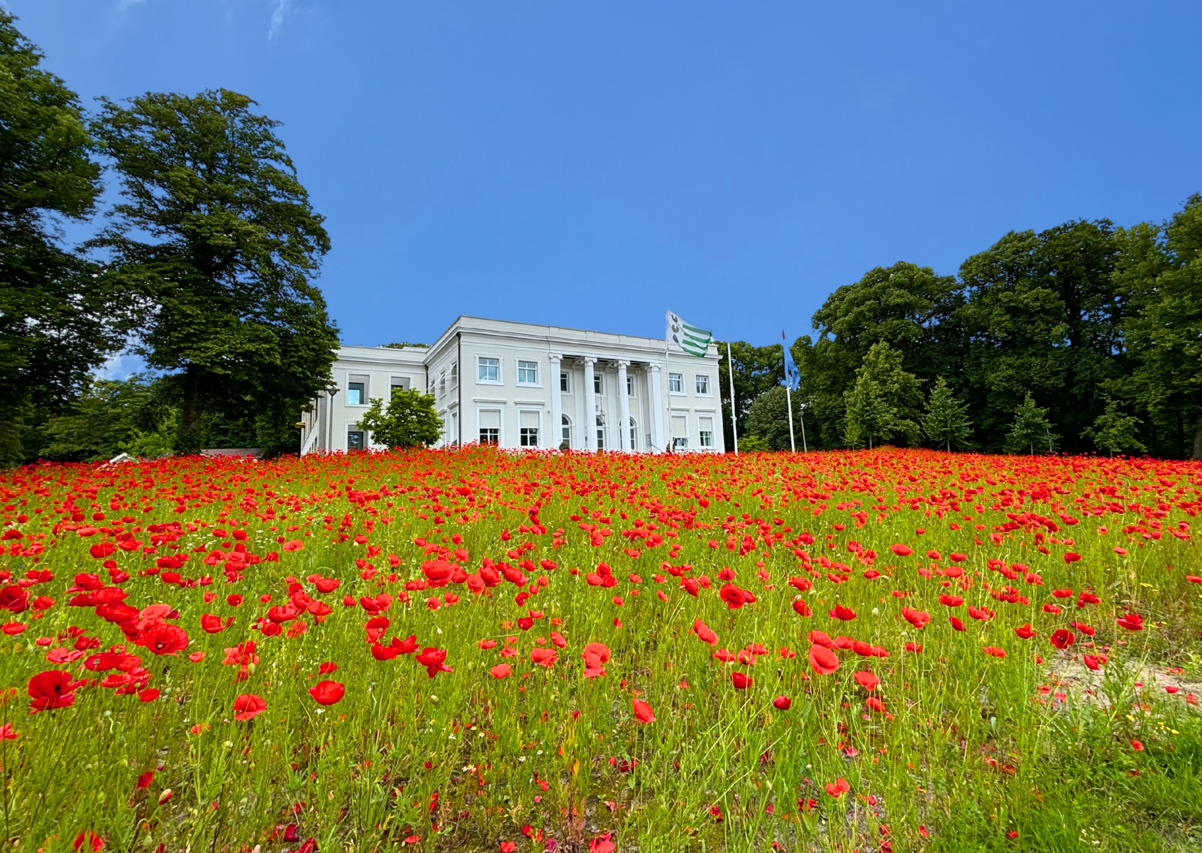 Gemeentelijke banner