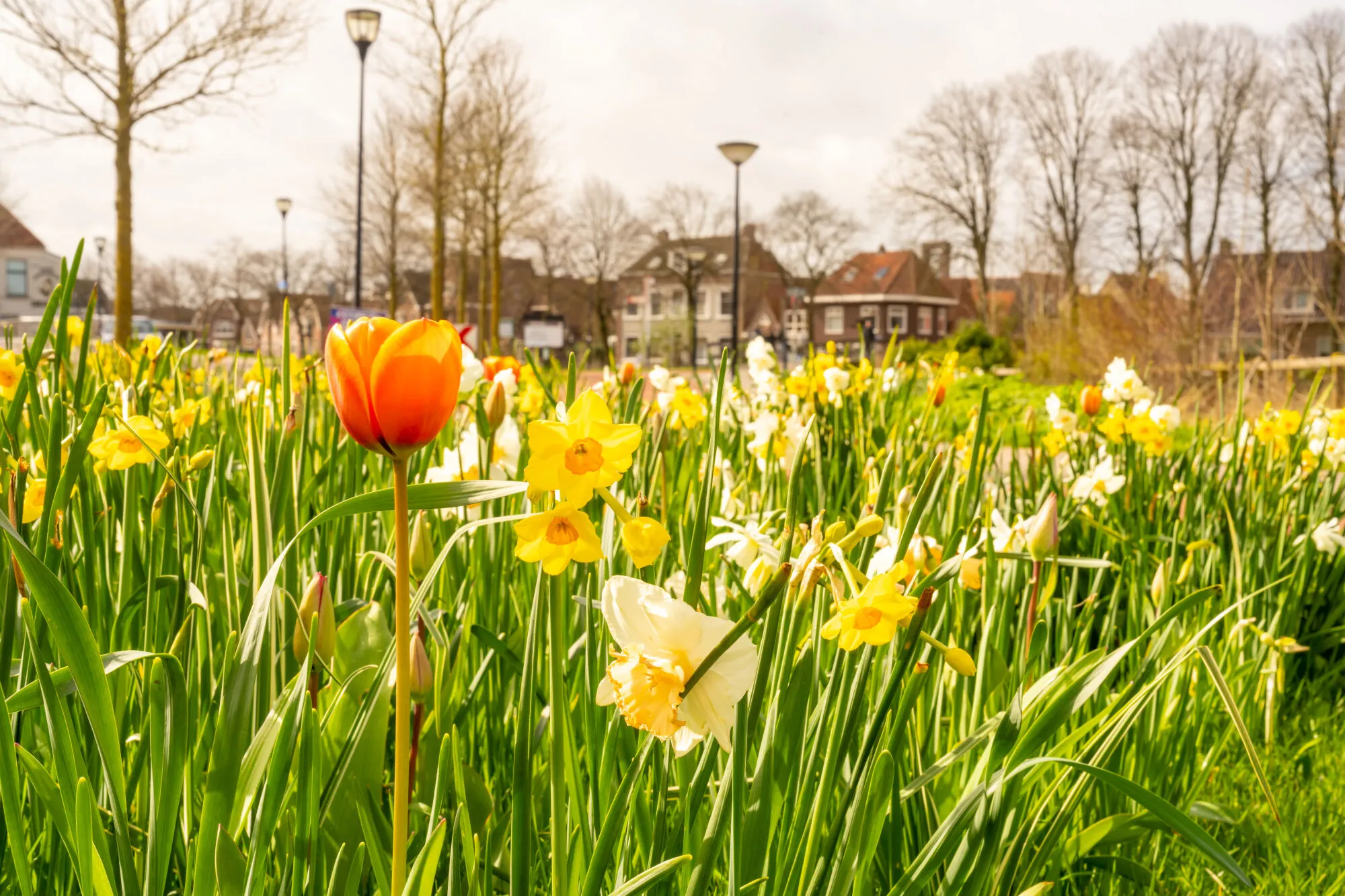 Gemeentelijke banner