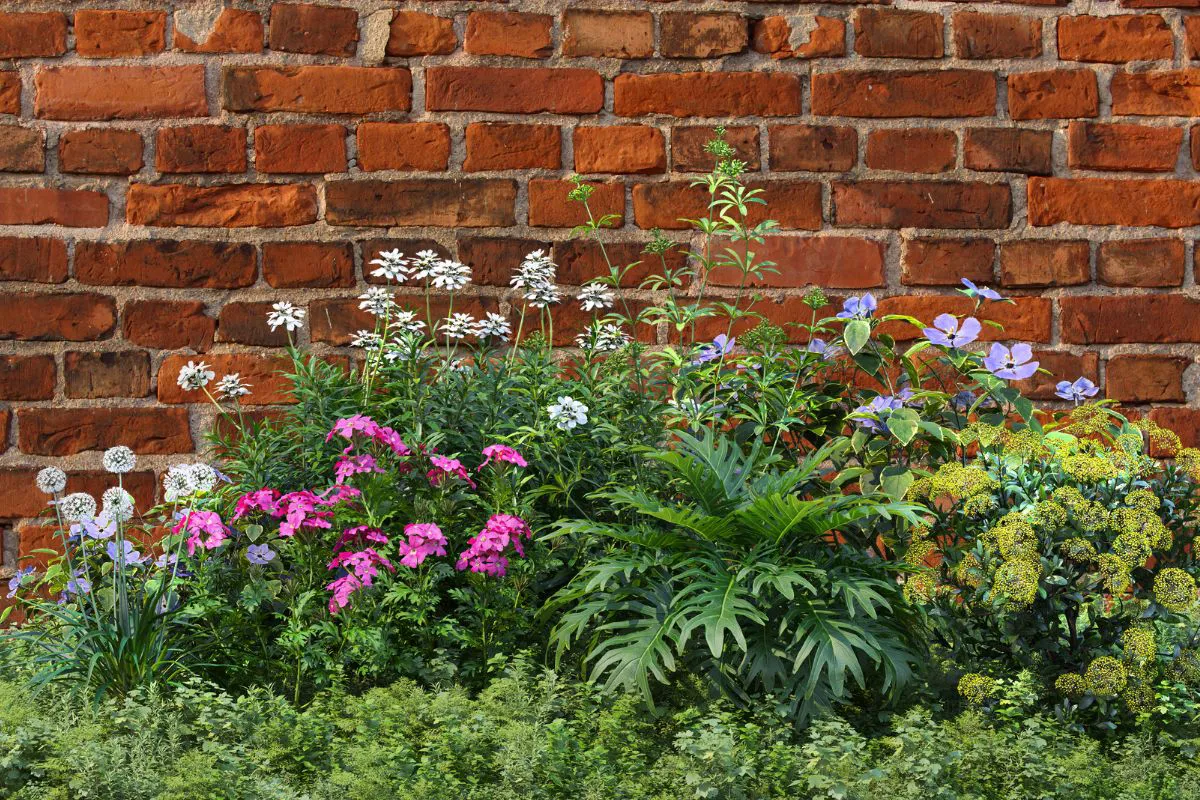Bekijk de afbeelding in een volledig scherm