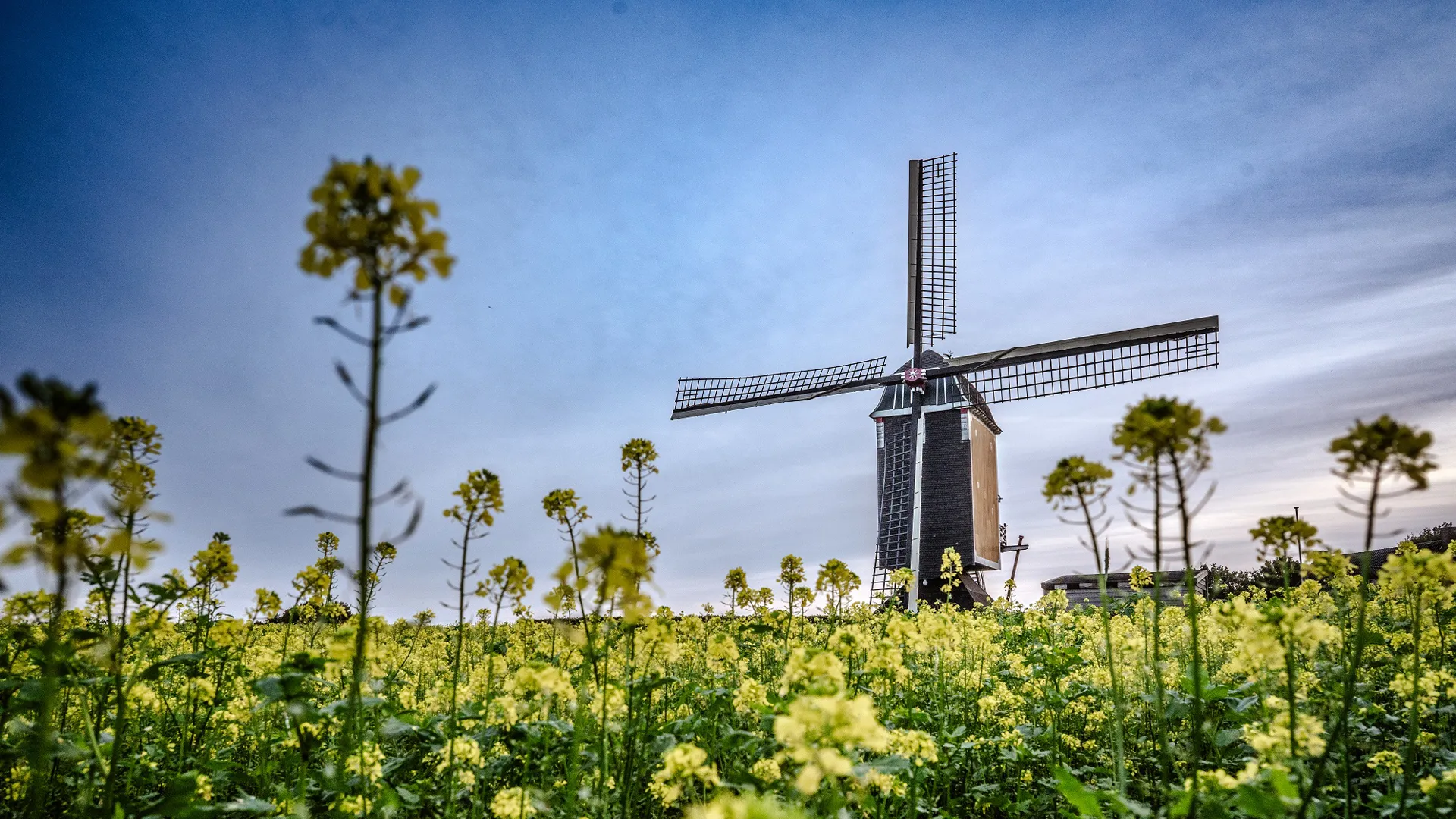 Beek met historische huizen langs een smalle straat en groene bomen op een helling.