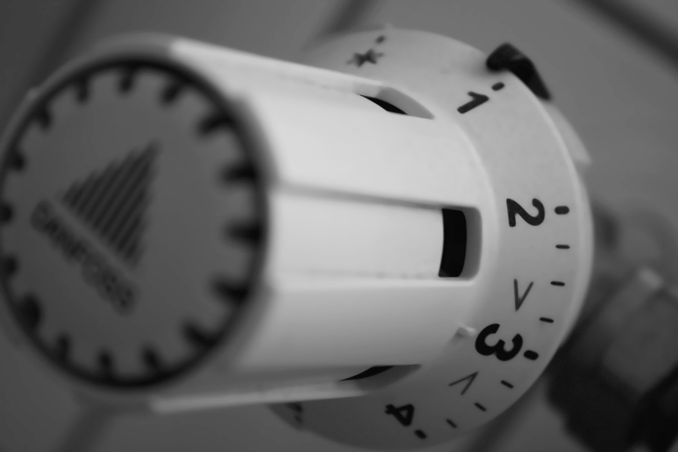 Bekijk de afbeelding in een volledig scherm