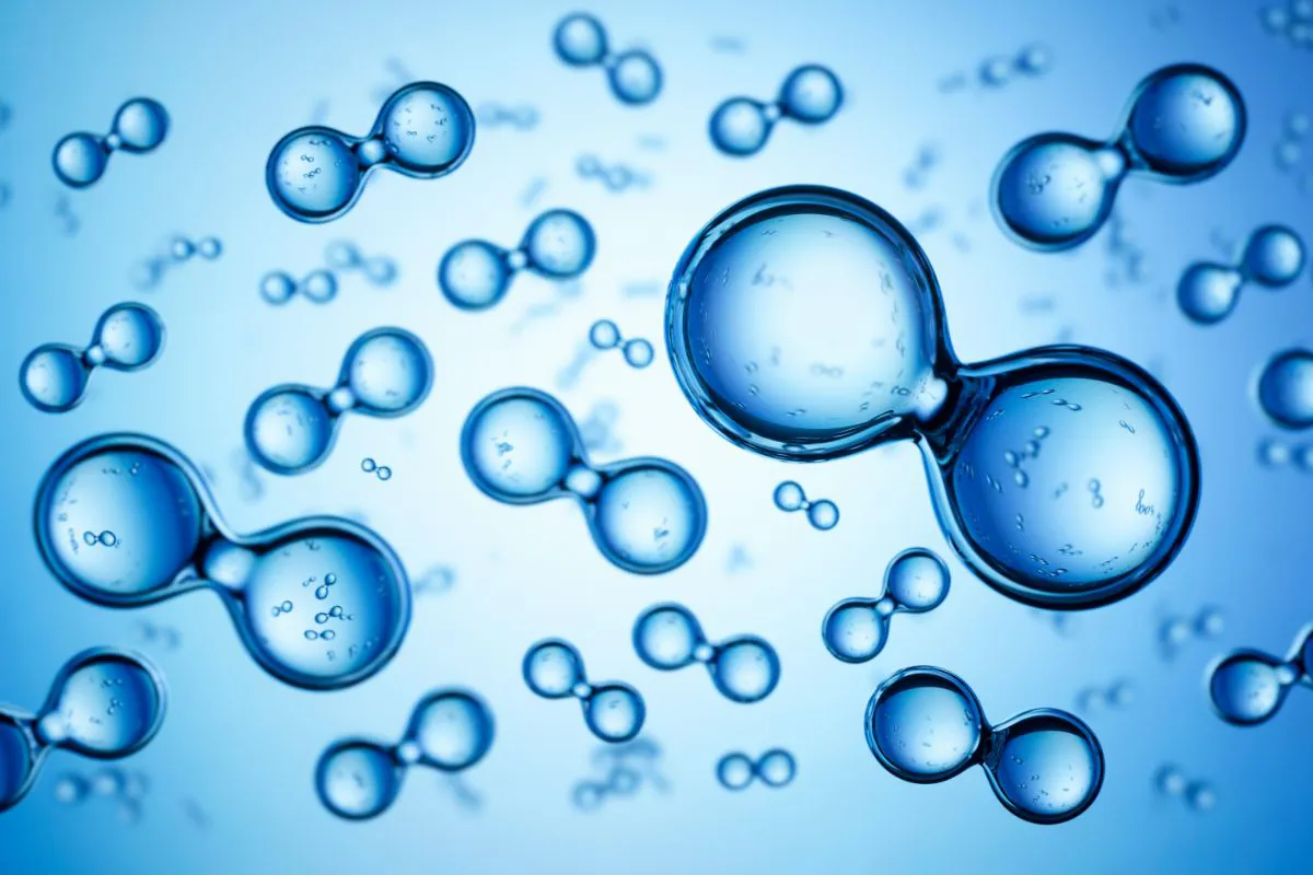 Bekijk de afbeelding in een volledig scherm