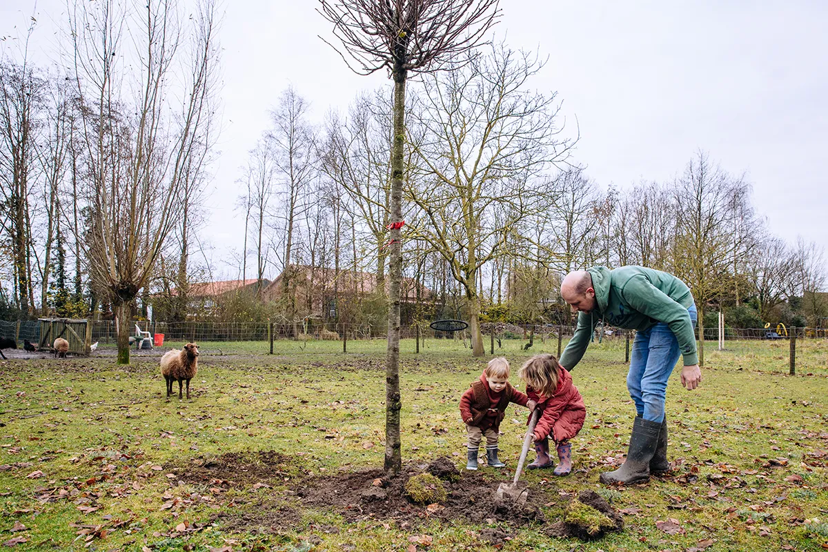 Klik om afbeelding in volledig scherm te bekijken
